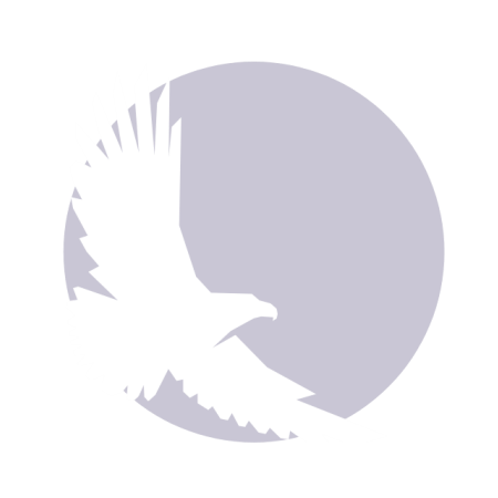 Mario Gunde Peters & Kelley