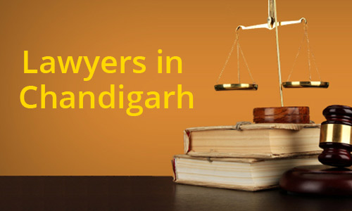 Optimus Legal Solution