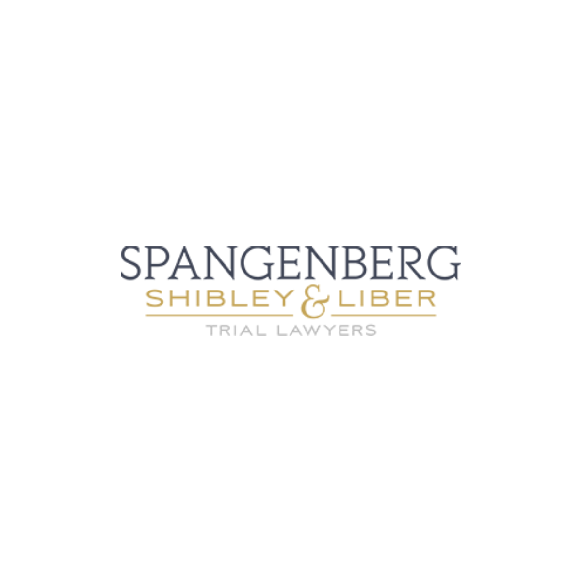  Spangenberg Shibley & Liber LLP